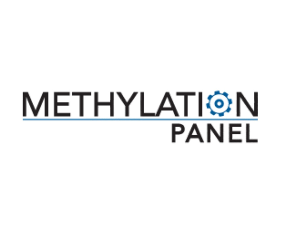 Methylation Panel Test